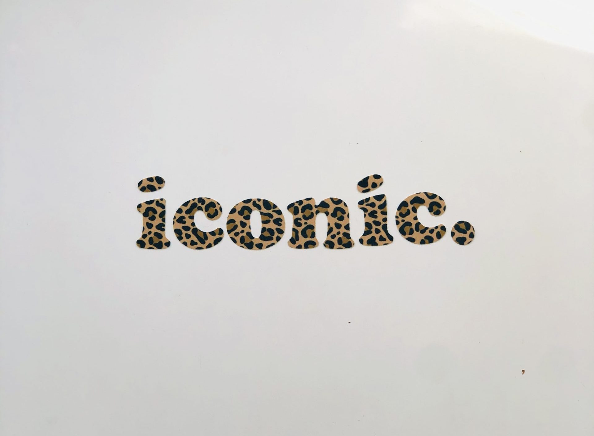 Iconic. graou velours